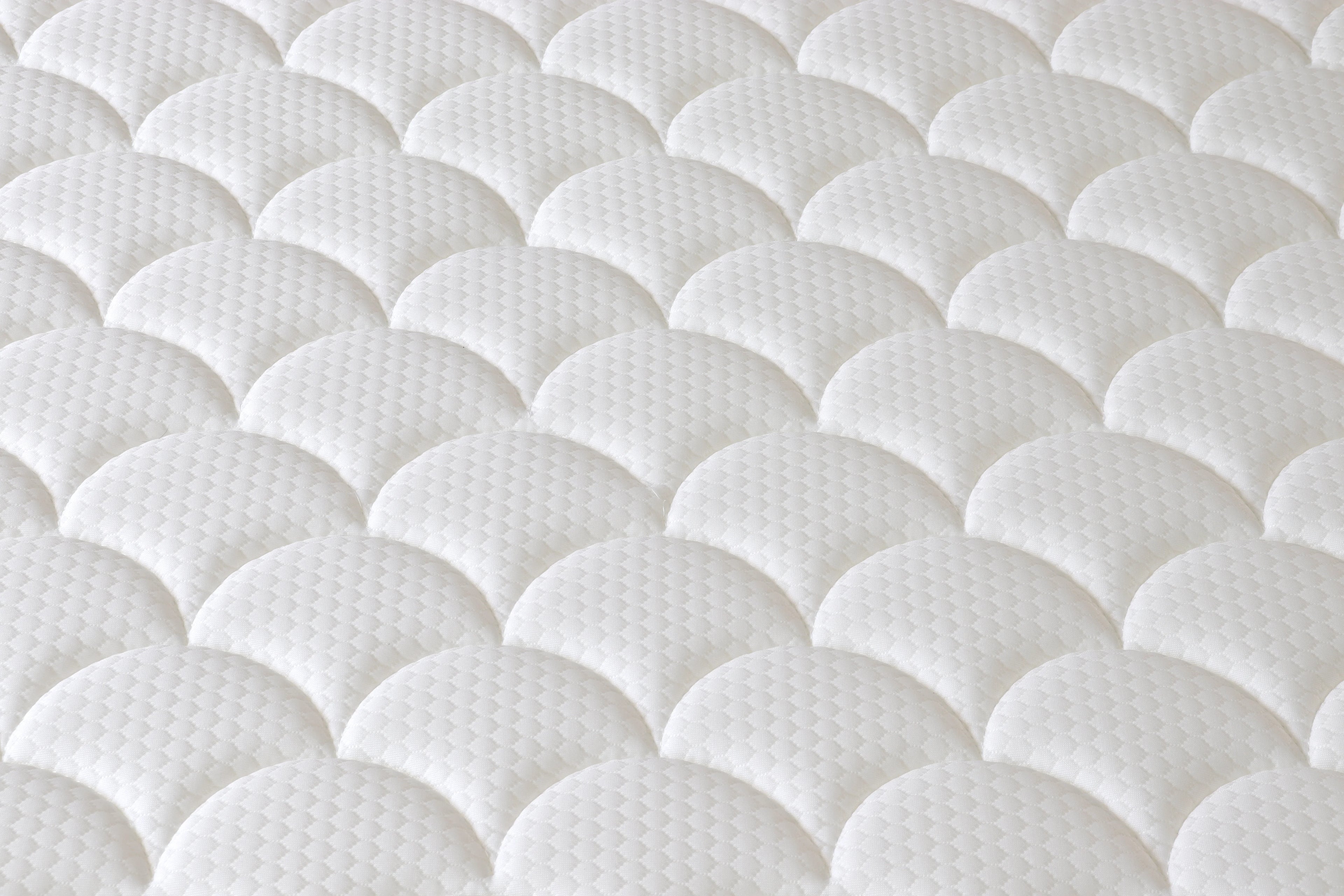 EVO Backcare Foam
